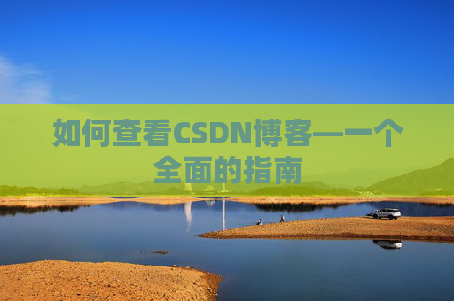如何查看CSDN博客—一个全面的指南